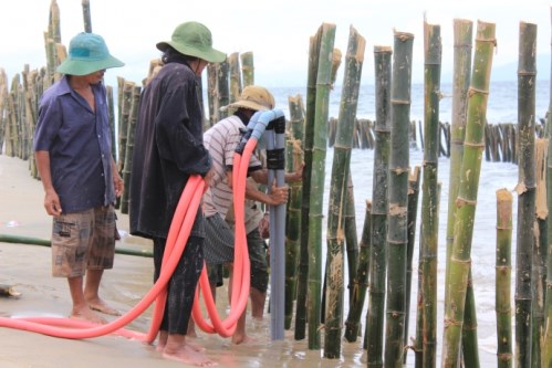Dự án kè biển Cửa Đại, Hội An - Cọc Tre Forbigsu - Công Ty TNHH Thương Mại Và Dịch Vụ Forbigsu Việt Nam